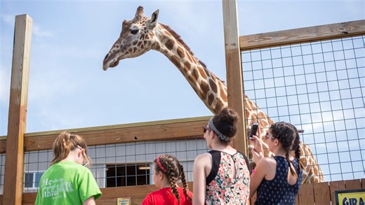 Looking for low-cost family fun? These museums, activity parks have free days this summer