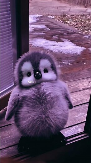 Cute Penguin Song 🐧 | Golu Molu Lyrics | Full HD #shorts #shortvideo #trending