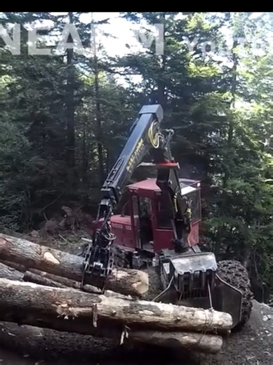 Amazing machine Skidder in slope road #amazingdriver #routedelextreme #bucheron #timberpro #johndeere #caterpillar #johndeere #tigercat #kassbohrer