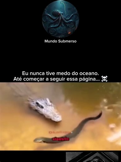 Peixe elétrico: o animal que gera 600 volts
