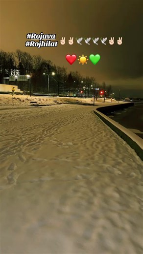 Rojava: A Symbol of Kurdish Freedom and Resilience