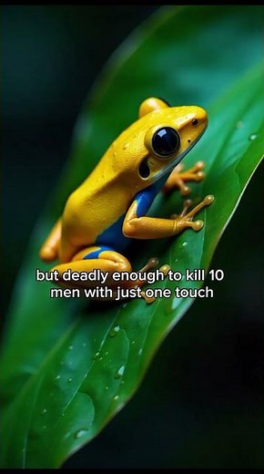 Top 10 Most Dangerous Animals in the Wild | Deadliest Creatures You Don’t Want to Meet