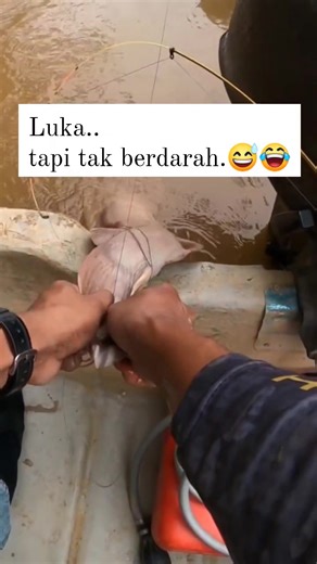 374 reactions · 5 comments | Baru nak menunjuk.. . . . #reels #page #elrestore #Info #ilmu #SpreadAwareness #humor #santai #trending #trendingnow #followmypage #followformore #fyp #fypシ゚viral #FYI #fyireels #fyiシ゚viral #kroniduaroda #solorider #kitaridertiadabeza #kumpau #KumpauItuPastiStrikeItuRezeki | EL Restore | Facebook
