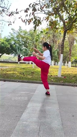 Part 2: Master the Linked Fist in 8 Simple Steps - Kung Fu for Kids