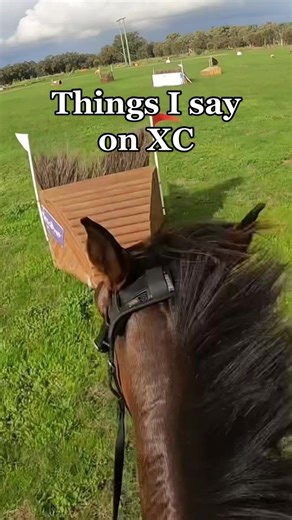 Exciting Cross Country Horse Riding Adventures with GoPro