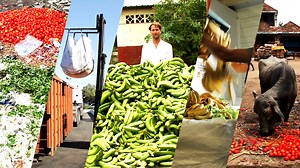 Global Waste: The Scandal of Food Waste | Netflix