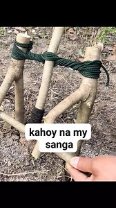 176K views · 339 reactions | #hunting #ricardomolinaaronjr #adsonreels #fbreels #reelsvideos #diy #trap #ideas #teknik #lifehacks | ilokanangmahugot vlog | Facebook