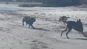 Rebecca Clark on Reels | Facebook