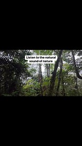 1.8K views · 19 reactions | Listen to the natural sound of nature Part 1 | 홉홚홬홝홢홖홣 | Facebook