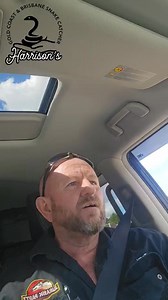 Carpet python in ormeau | Harrison's Gold Coast and Brisbane Snake Catcher