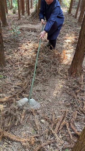 Step-by-step repurposing an old fan guard into a powerful tool.
