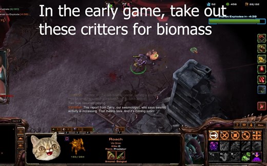 [小技巧] 前期打这些小怪物，拿生物质