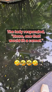 Smoke-Proof Solutions 😂 #jokesfordays #jokes #laughtrip #reels #funnymoments #reelsusa #fbreels #fypシ゚viral #fypシ゚ #humorviral #humor #funnypost #australia #comedy #fblifestyle | Rise and Shine