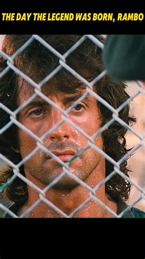 The day the legend was born, Rambo #clips #sylvesterstallone #stallone #Rambo #funny #foryou | The Kitchen - Omagh.