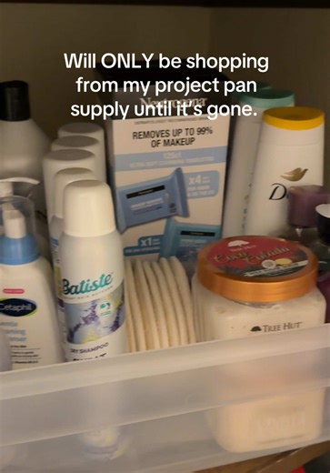 Minimalist Project Pan: Reducing Overconsumption Efforts