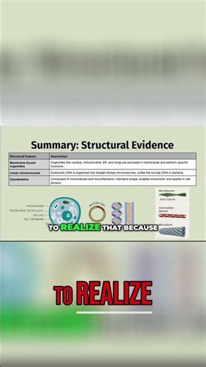 Common Ancestry: Proof from Cells' Structures Explained!