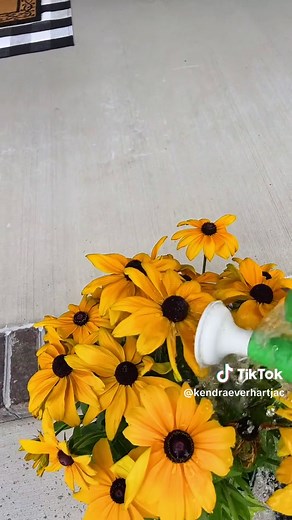 Watering Plants: Tips for Healthy Ferns and Rain Chain Catcher