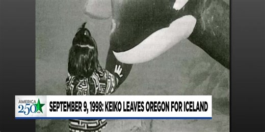 This Day in Oregon History - Sept. 9, 1998: Keiko the Whale leaves Oregon
