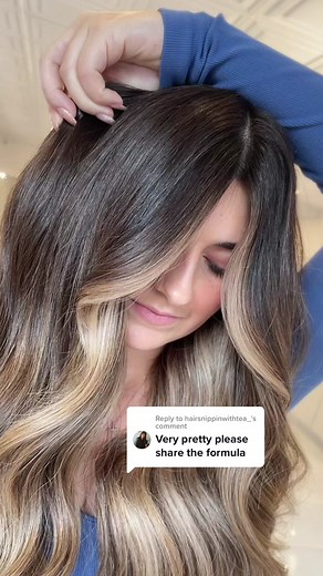 Redken SEQ Hair Color Formula for Brunette Balayage