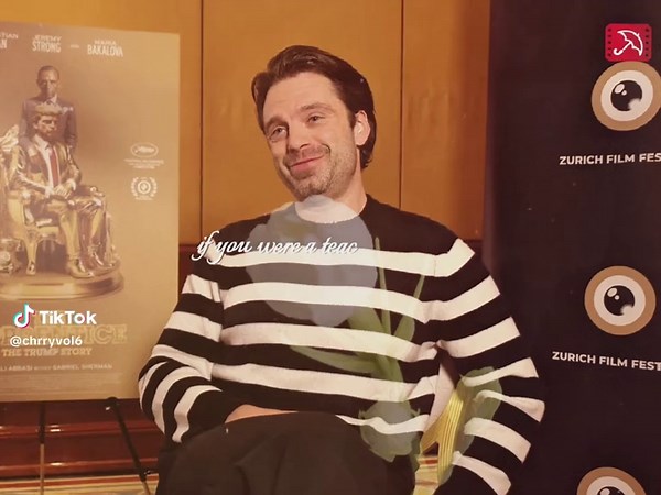 Sebastian Stan Edit: Bucky Barnes Moments