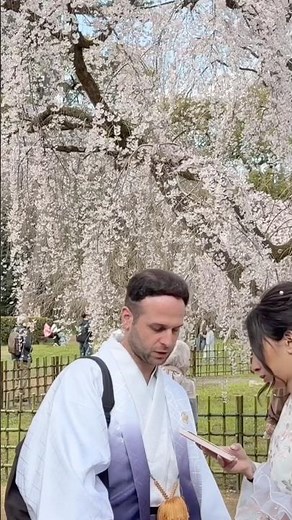 京都御苑の近衛邸跡の満開のしだれ桜を満喫する外国人観光客 #京都 #観光