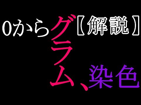 【グラム染色】細菌の分類法「グラム染色」の流れを解説！！【医学解説】