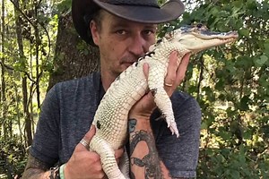 Thief Stole Snowball The Rare White Alligator And Torched His Florida Animal Sanctuary, Cops Say | Oxygen