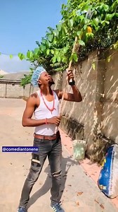 1.3K views · 5 comments | This is how to make mon£y. You pluck it from tree. I nor go drop location make una nor come up root the tree. | Comedian Tonene | Facebook