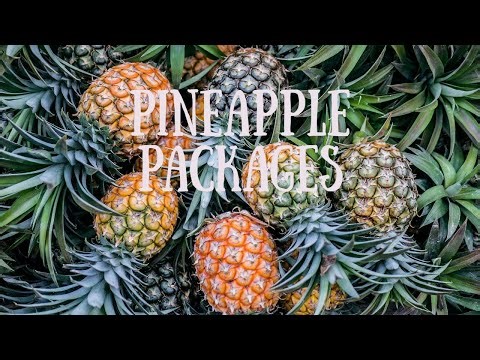 How To Grow Pineapple In Containers
