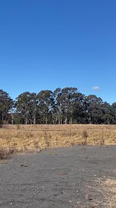 👌The sound of locomotive 3801 making its way to Sydney might be the best sound on earth. 🎥 Cooper Chapman | Transport Heritage NSW