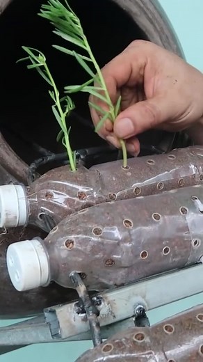 2.1M views · 36K reactions | DIY Easy Waterfall Garden 殺 | DIY Balcony Garden | Facebook