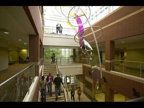 Studying the Sciences at Manchester University