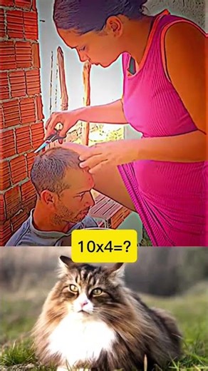 #troll#trollface#trollmeme#trolling#funny#shortsviral#short#viral#cat#memes#maths#mathstricks