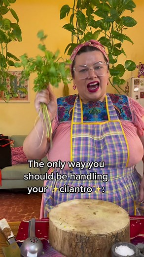 No Waste Cilantro: Mexican Cooking Techniques