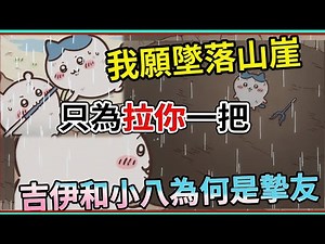 緞帶是友情的證明！小八和吉伊到底有多親！ 最令人羨慕的友情 感動千萬人 吉伊卡哇 除草檢定篇 緞帶篇【睿X漫畫】動漫人物進化史