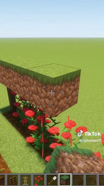 How to Build a Tomato Farm in Minecraft