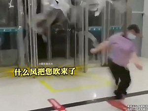 384K views · 2.9K reactions | [ 퐆퐎́퐂 퐂퐀̉퐍퐇 퐁퐀́퐎 퐒퐈퐄̂퐔 퐁퐀̃퐎 ] [ Video...