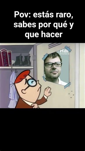 te he fallado 😭 #humor #cuartetodenos #memes