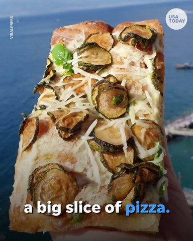Seagull steals slice of pizza out of food blogger's hand