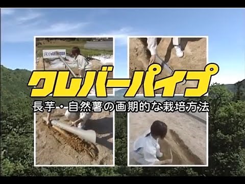 Clever Pipe: Introduction and Usage