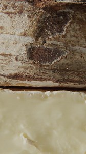 It’s rewarding to be known for the thing you obsess over. Do you feel the same about cheese as we do? #TheStateOfCheese | Wisconsin Cheese