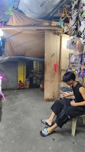 Exploring COLUROM: True Brown Style Influence