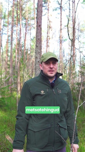 Kuidas käituda juhupakkujatest petturitega?