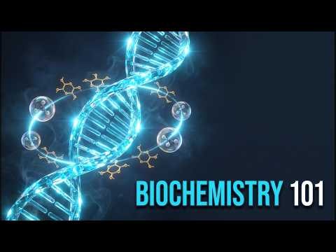 Biochemistry Explained What Are Carbohydrates, Lipids & DNA? (2026)