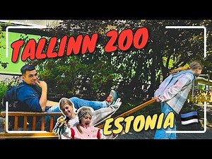 Tallinn Zoo 🐯 🐘 - Unbelievable Family Fun 🐻