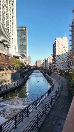 JAPAN(4K)Original city video in Japan 🇯🇵✨Real streets, real moments. Such a beautiful day in Tokyo!