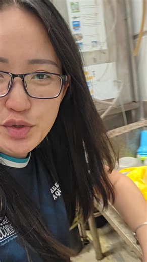 7.7K views · 56 reactions | GOOD FISH MUST SHARE!! Albino Bloodred highfin shortbody swordtails!!!! 要的朋友cepat cepat mari!!! Stock不多!! Selling pair!! Self Whatapps 018 268 1728 | Beebies Shrimp Aquatic Pet | Facebook