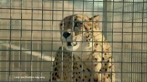 Presenting the All New Hyundai Veloster Turbo. | Hyundai Roodepoort | Facebook