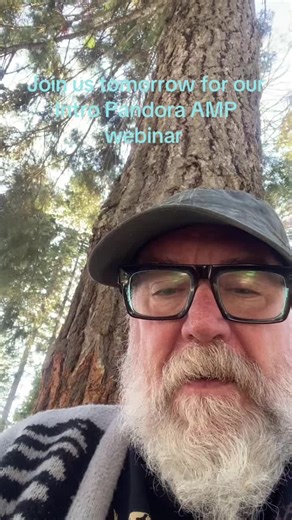 Webinar Introducción a Pandora AMP