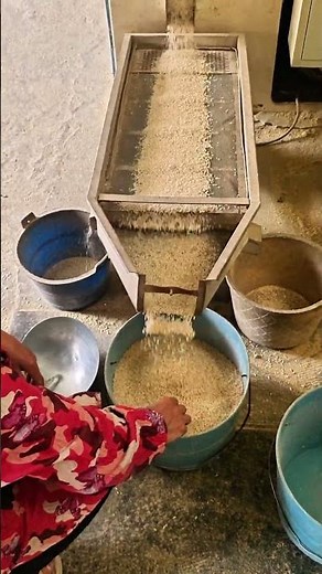 ‌Rice huller machine operation demo